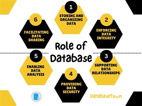 The Role of Data Management in Digital .